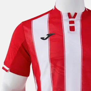 Camisola Joma Premier image-2