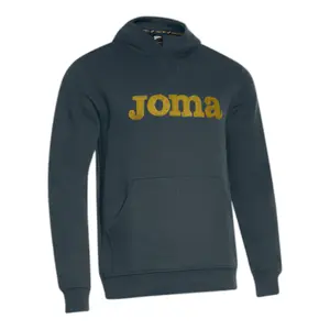 Hooded Sweatshirt Joma Step image-0
