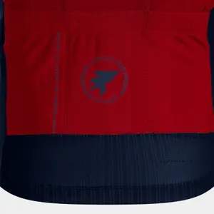 Maillot Manches longues Joma Crono image-3
