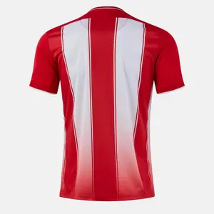 Camisola Joma Tiger VIII image-2