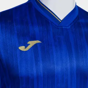 Trikot Joma Gold VI image-2