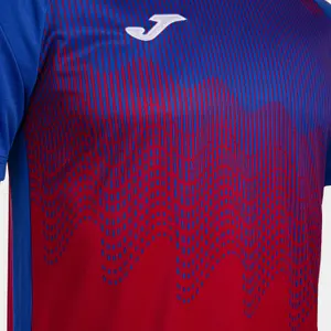 Maillot de ciclismo Joma Tiger VI image-2