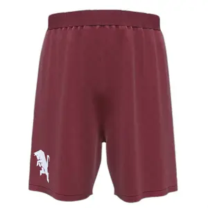 Outdoor-Shorts Kind Torino FC 2022/23 image-0