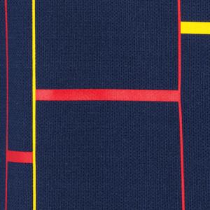 Polo Rumanía Paseo 2023/24 image-2