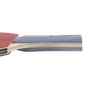 Raquete de ténis de mesa Joola Team School image-2