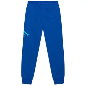 product/j/o/jordan_95d289-uh5_bleu_2.jpg