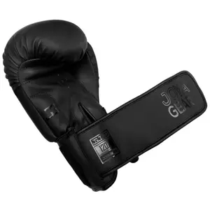 Boxing gloves Joyagear Top Ten Pro image-4