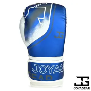Boxing gloves Joyagear Evolution image-1