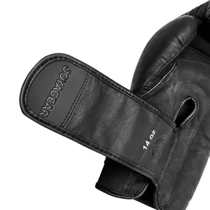 Boxing gloves Joyagear Fight Fast image-3