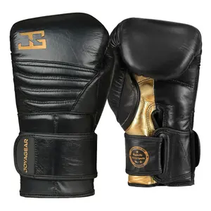 Leather boxing gloves Joyagear Falcon image-0