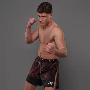 Kurze MMA Joyagear Elite High Split image-1