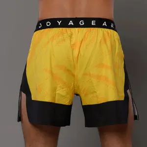 Kurze MMA Joyagear Elite High Split image-2