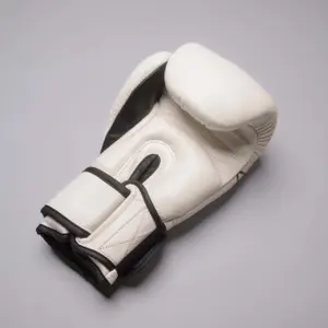Kickboxing Gloves Joyagear Strike image-1
