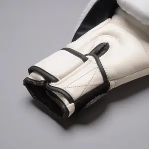 Kickboxing Gloves Joyagear Strike image-6