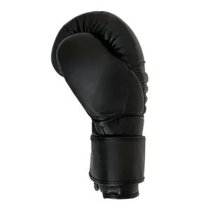 Leather Kickboxing Gloves Joyagear Falcon image-2