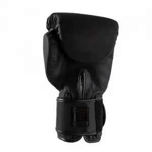 Kickboxing Gloves Joyagear Max image-1