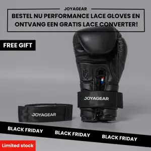 Boxhandschuhe mit Schnürung Joyagear Performance image-2