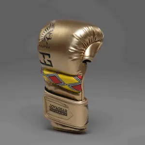 MMA gloves Joyagear x Poatan Champion image-1