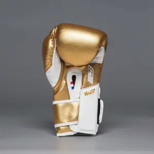 Boxing gloves Joyagear Performance V2 image-3