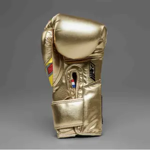 Boxing gloves Joyagear x Poatan Performance Champion image-3