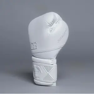 Boxing gloves Joyagear Performance V2 image-1