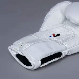 Boxing gloves Joyagear Performance V2 image-2