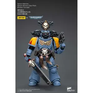 Figurine JOYTOY Warhammer 40k figurine 1/18 Space Marines Space Wolves Claw Pack Brother Torrvald image-0