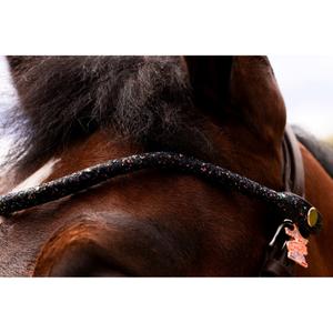 Frontal a presión para caballo Ju & Pa image-4