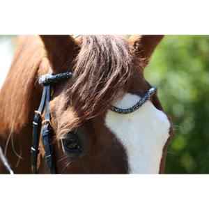 Frontal a presión para caballo Ju & Pa image-1