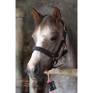 Cabestro para caballos Ju & Pa