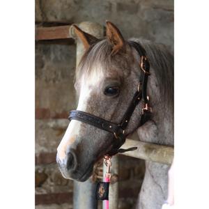 Cabestro para caballos Ju & Pa image-1