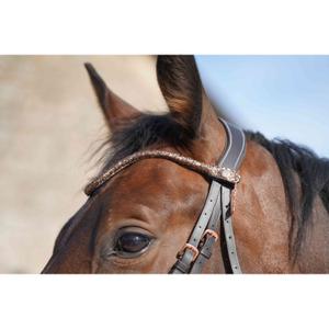 Frontal a presión para caballo Ju & Pa image-1