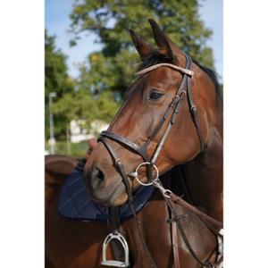 Frontal a presión para caballo Ju & Pa image-4