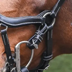 Sporenbanden voor paarden Jump'In New York image-1