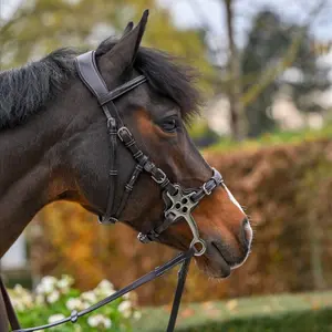 Anatomisk bidløs hovedtøj til hest Jump'In Hackamore Origin image-2