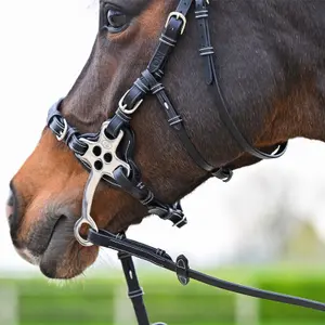 Anatomisk bidløs hovedtøj til hest Jump'In Hackamore Origin image-3
