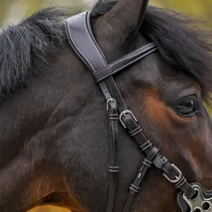 Anatomisk bidløs hovedtøj til hest Jump'In Hackamore Origin image-4