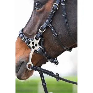 Σέλες ιππασίας για άλογα Jump'In One Premium Hackamore image-1