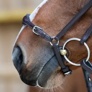 Deutsche anatomische Kombinationsnasenriemen für Pferdesport Jump'In Evolution Origin