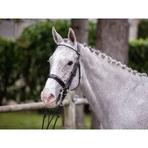 Riding bridle Jump'In One Courchevel image-2