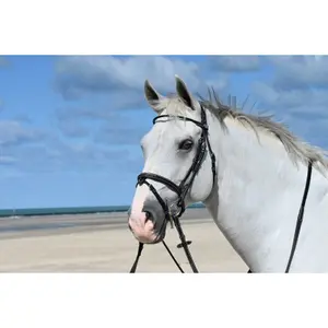 Combined anatomic noseband bridle Jump'In Monday image-0