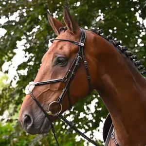 Anatomical crossed noseband riding bridle Jump'In Monday image-0