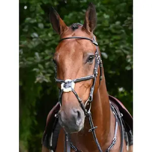 Anatomical crossed noseband riding bridle Jump'In Monday image-1