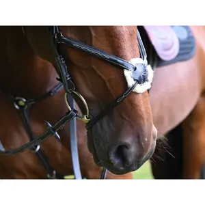 Anatomical crossed noseband riding bridle Jump'In Monday image-3