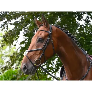 Anatomical crossed noseband riding bridle Jump'In Monday image-2