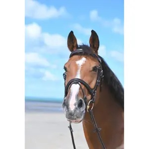 Combined anatomic noseband bridle Jump'In Tuesday image-0