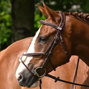 Anatomical crossed noseband riding bridle Jump'In Tuesday image-0