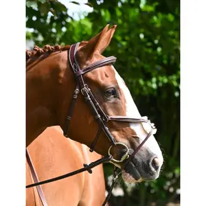 Anatomical crossed noseband riding bridle Jump'In Tuesday image-1