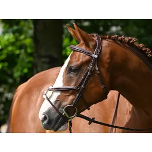 Anatomical crossed noseband riding bridle Jump'In Tuesday image-2