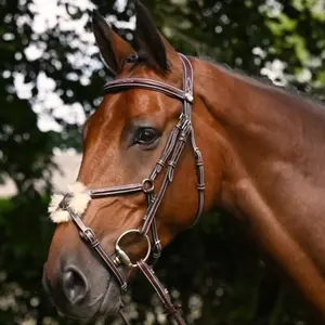 Anatomical crossed noseband riding bridle Jump'In Thursday image-0